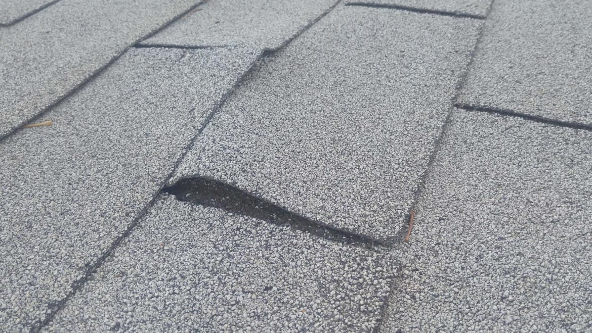 Close-up of gray asphalt shingles on a roof with a small lifted or damaged section.
