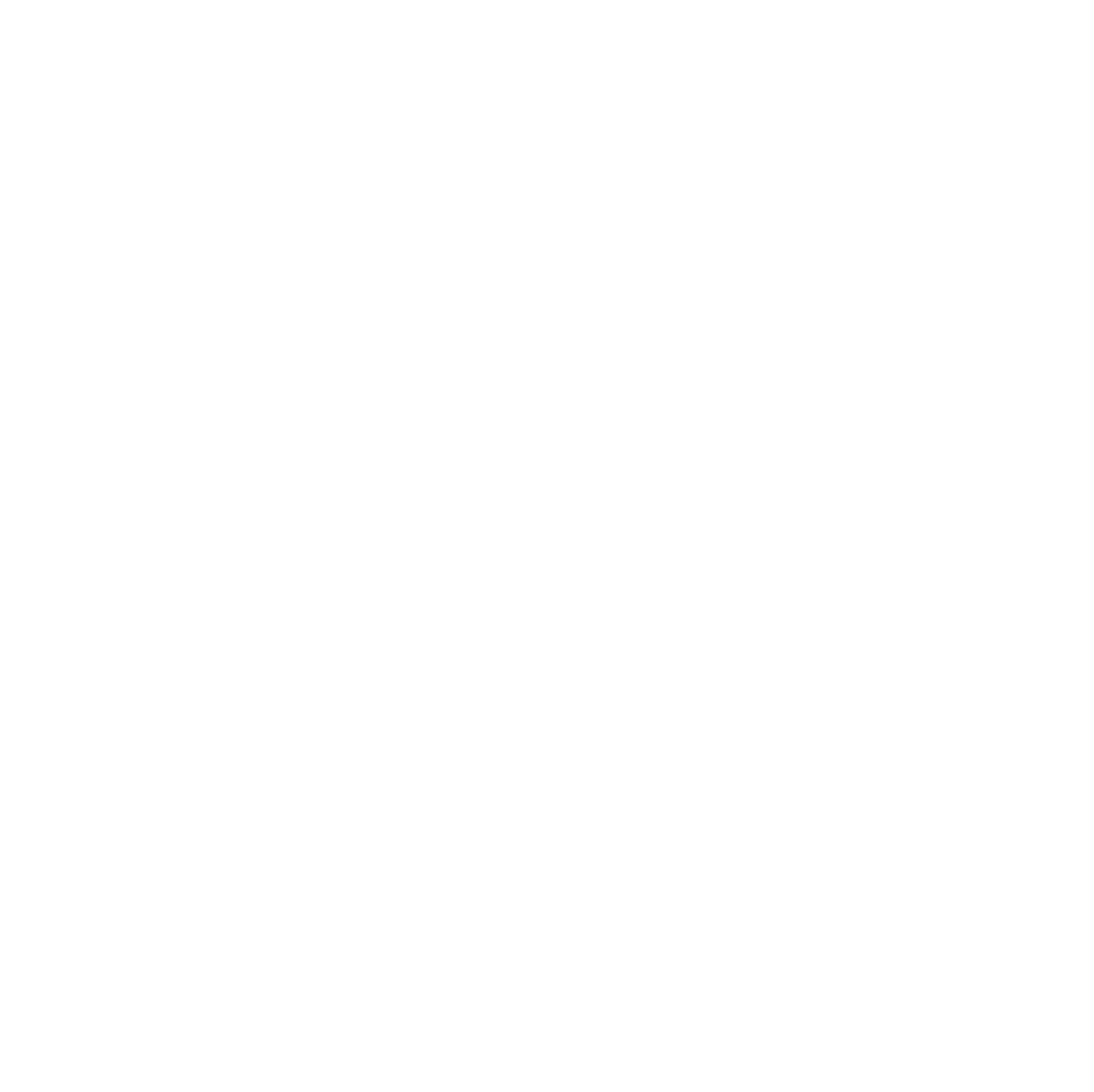 Blank white image