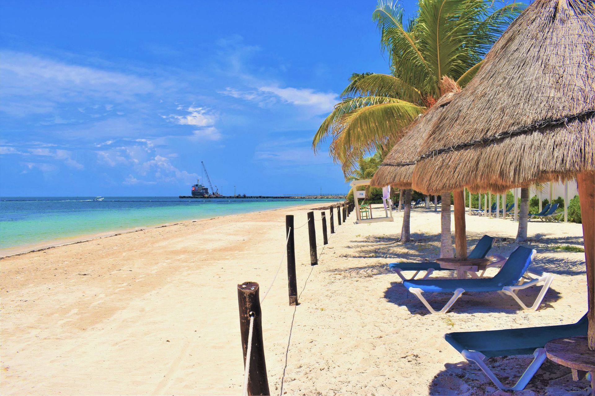 Beach scene with white sand, blue ocean, palm trees, thatched umbrellas, and lounge chairs under a clear sky.