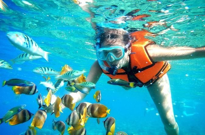 Person snorkeling underwater, surrounded by colorful fish; wearing mask, snorkel, and orange life vest in clear blue water.