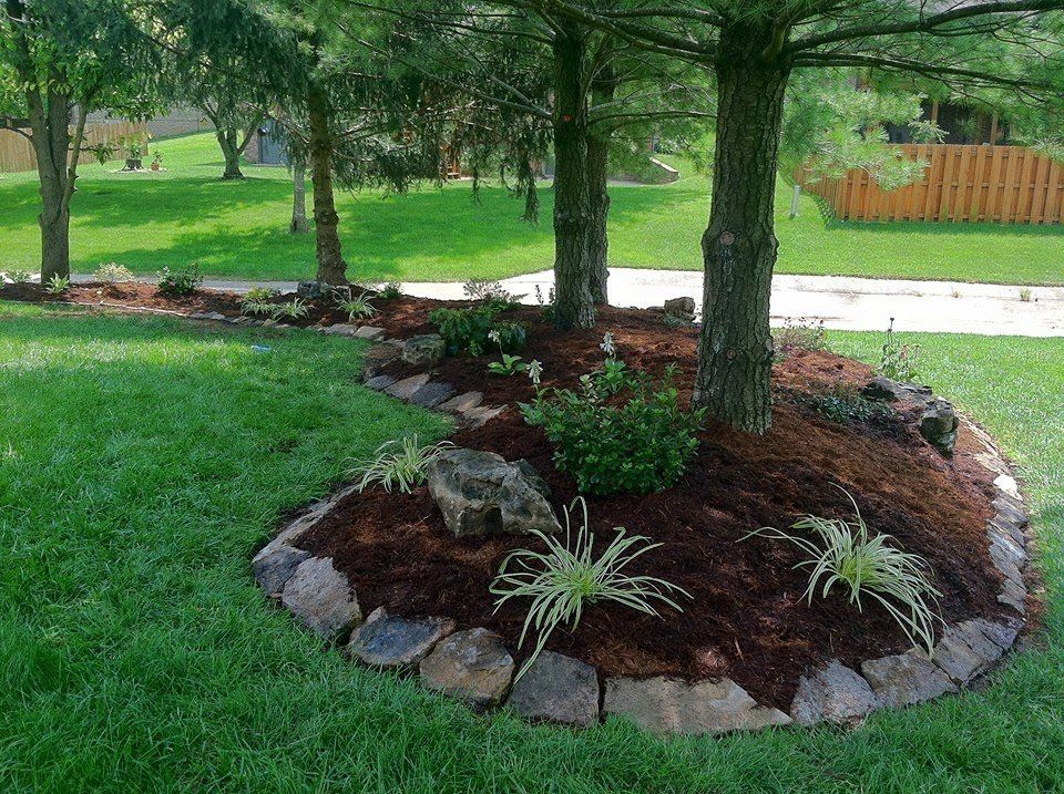Landscaped garden bed with trees, mulch, rocks, and green grass.