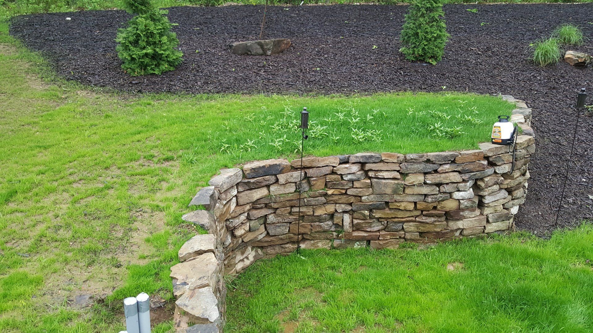 Stone retaining wall curves through a lawn; black mulch beds and small trees border the wall.