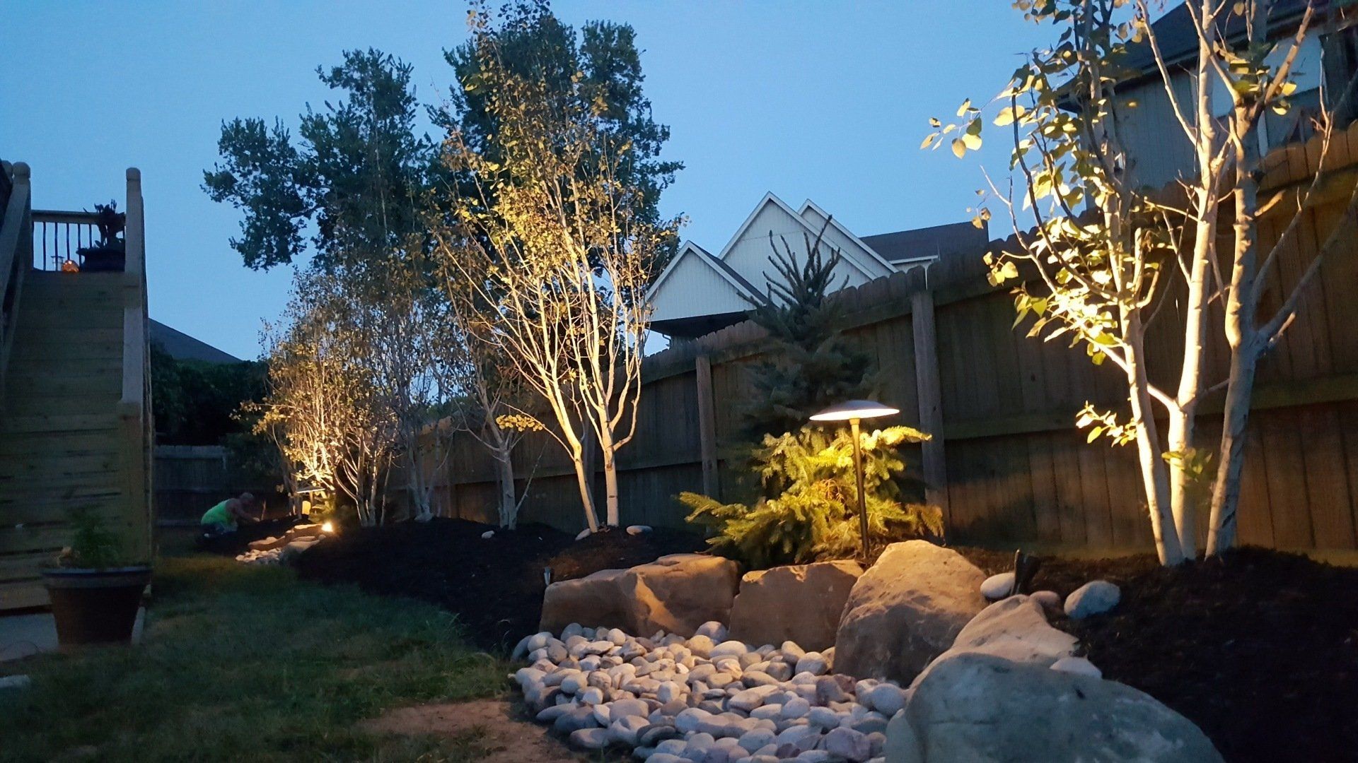 Backyard with illuminated trees, rock border, and mulch at dusk.