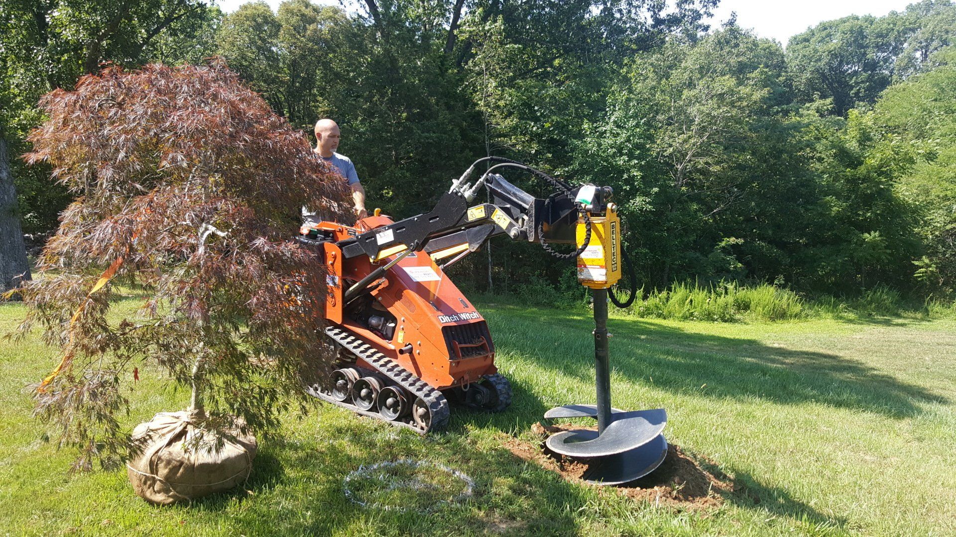 Man operating a compact track loader with auger; planting a tree on a sunny lawn.