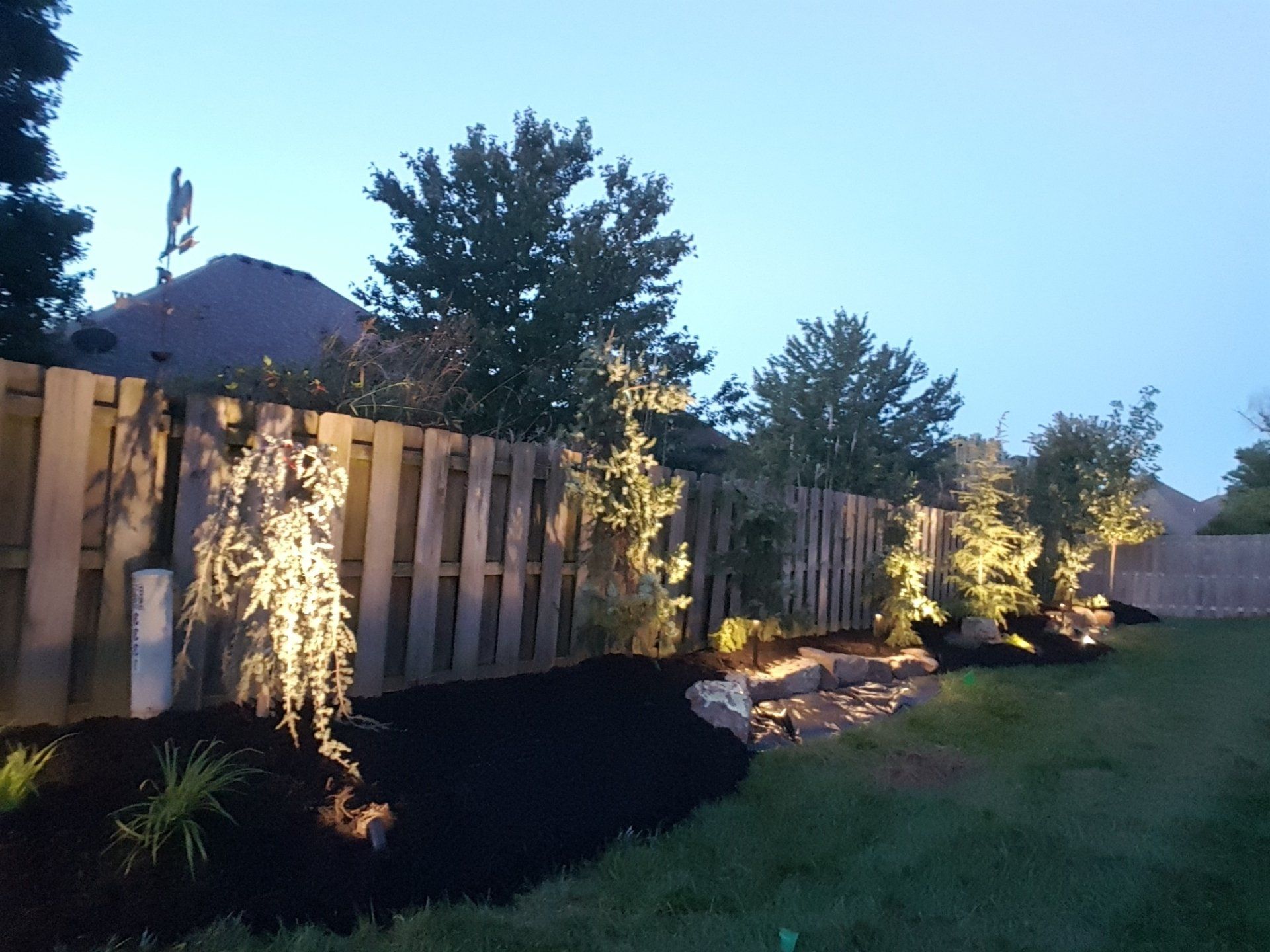 Backyard with illuminated trees and fence at dusk.