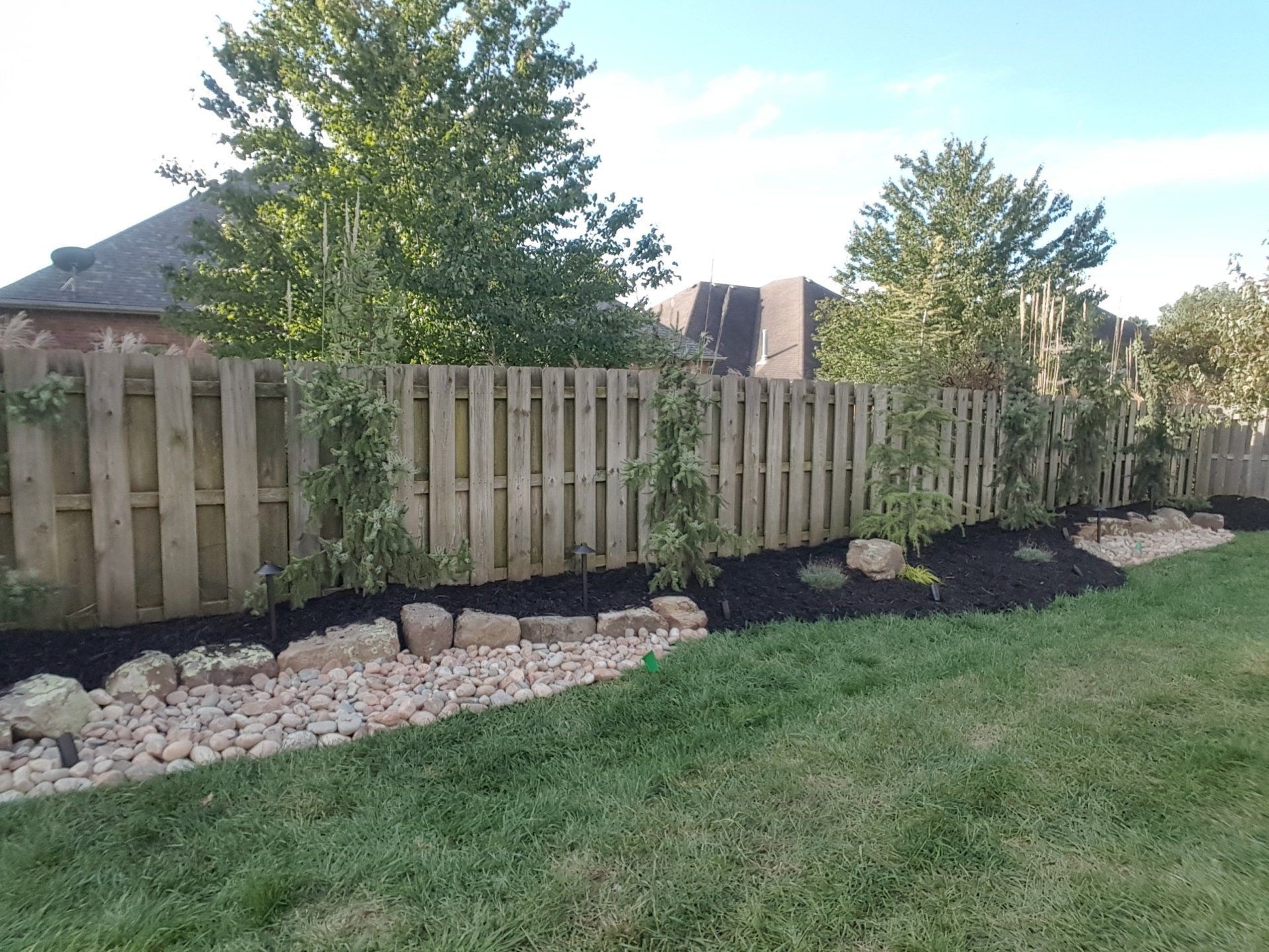 Wooden fence lined with young trees and landscaped flower bed.
