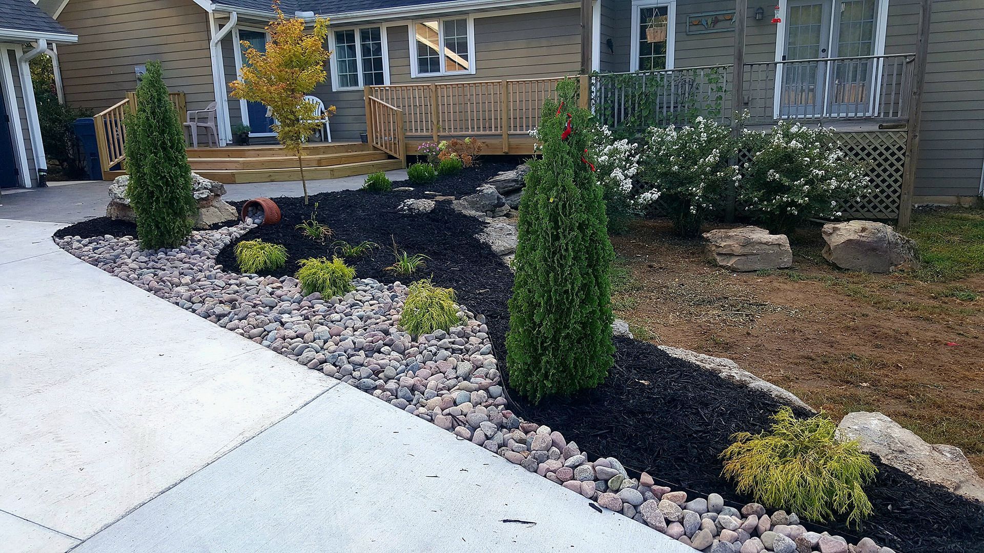 Landscaped yard with cone-shaped trees, dark mulch, and light-colored rocks lining a driveway. House in the background.