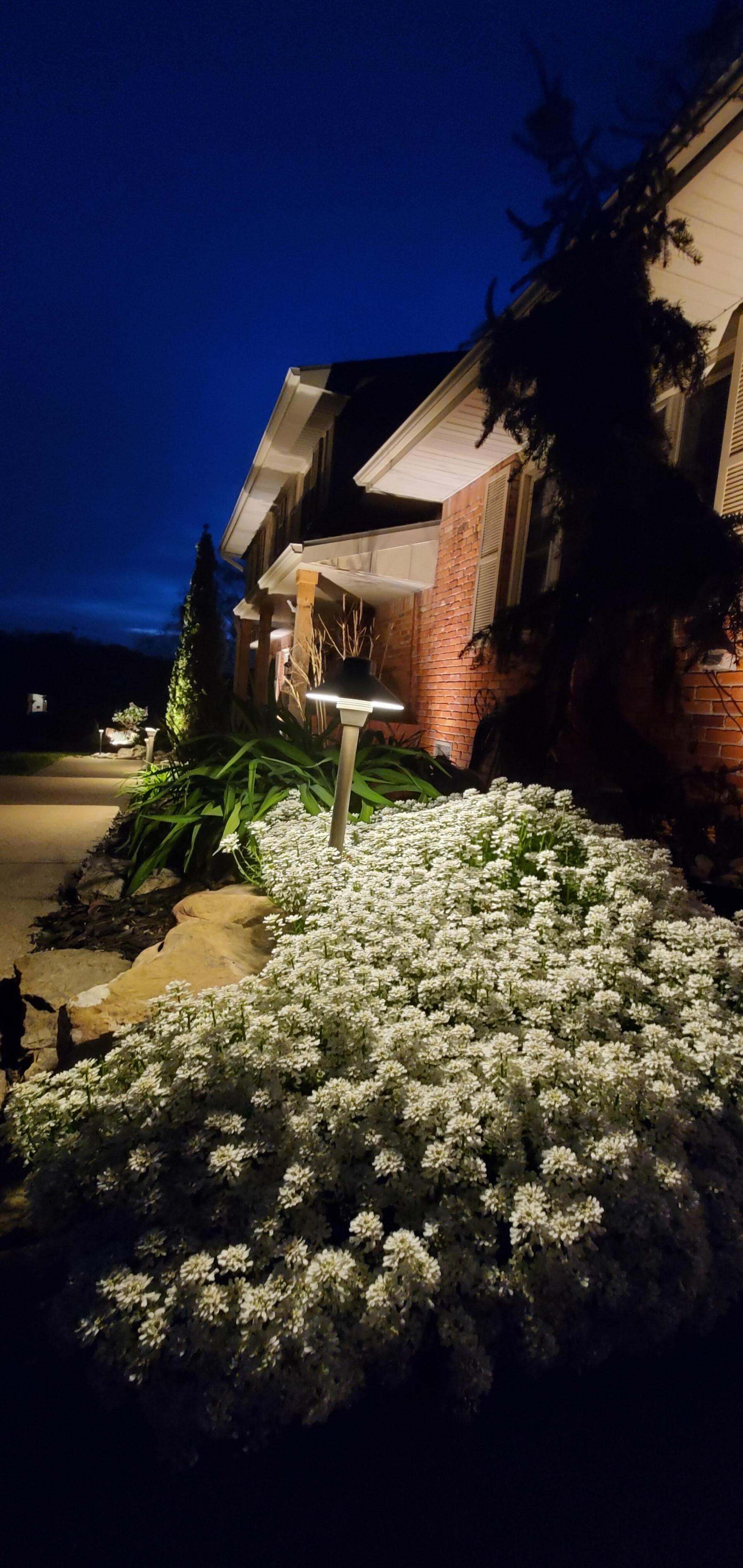 A nighttime view of a house exterior, lit by landscape lighting. White flowers are in the foreground.