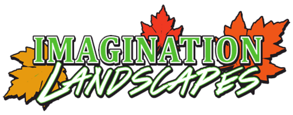 Logo with the words "IMAGINATION LANDSCAPES" in green with white trim, and autumn leaves.