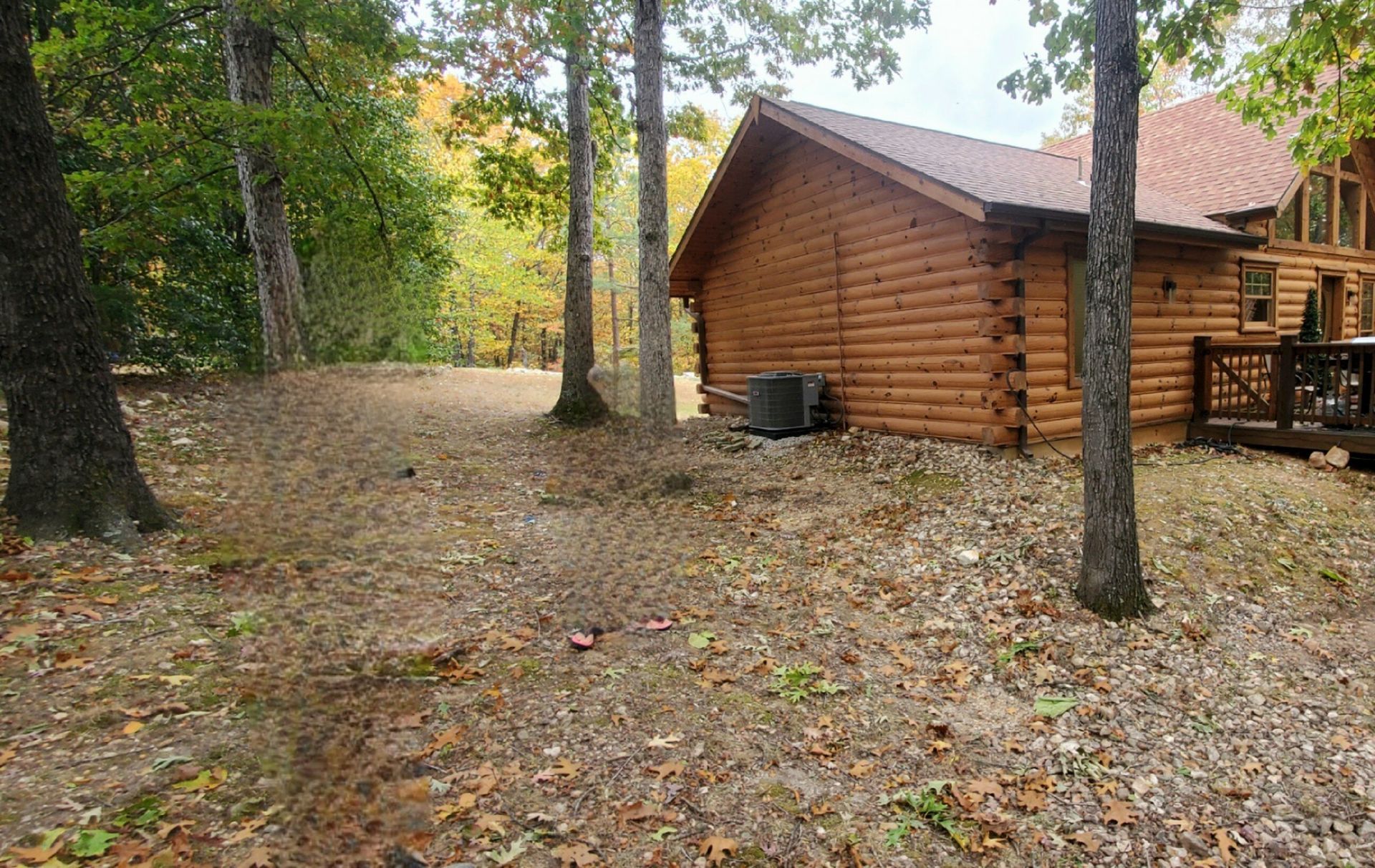 Log cabin with brown siding and roof, surrounded by trees and dry leaves in a wooded area.