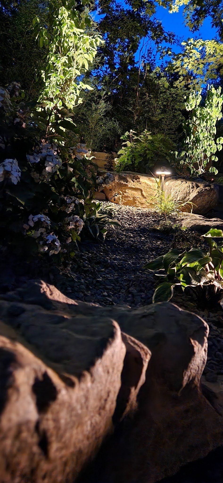 Nighttime view of a rocky path leading through lush greenery, illuminated by soft lighting with a deep blue sky above.