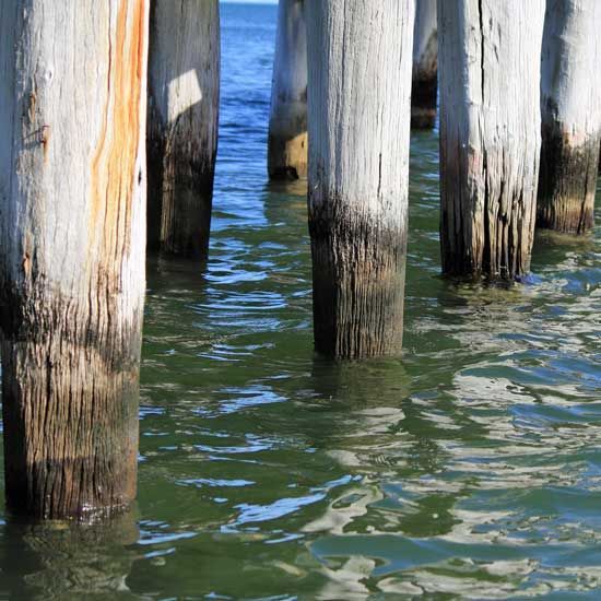 Wooden pier pilings in water, some stained.