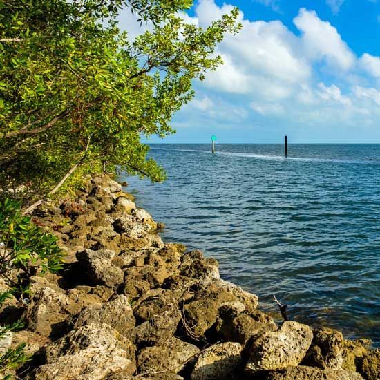 Rocky shoreline with green tree branches overlooking calm blue water and a cloudy sky