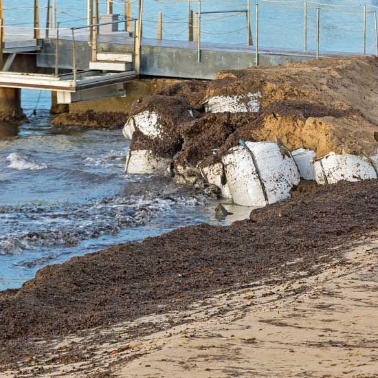 Sandy beach with seaweed, rocky shoreline, and a wooden pier over calm water