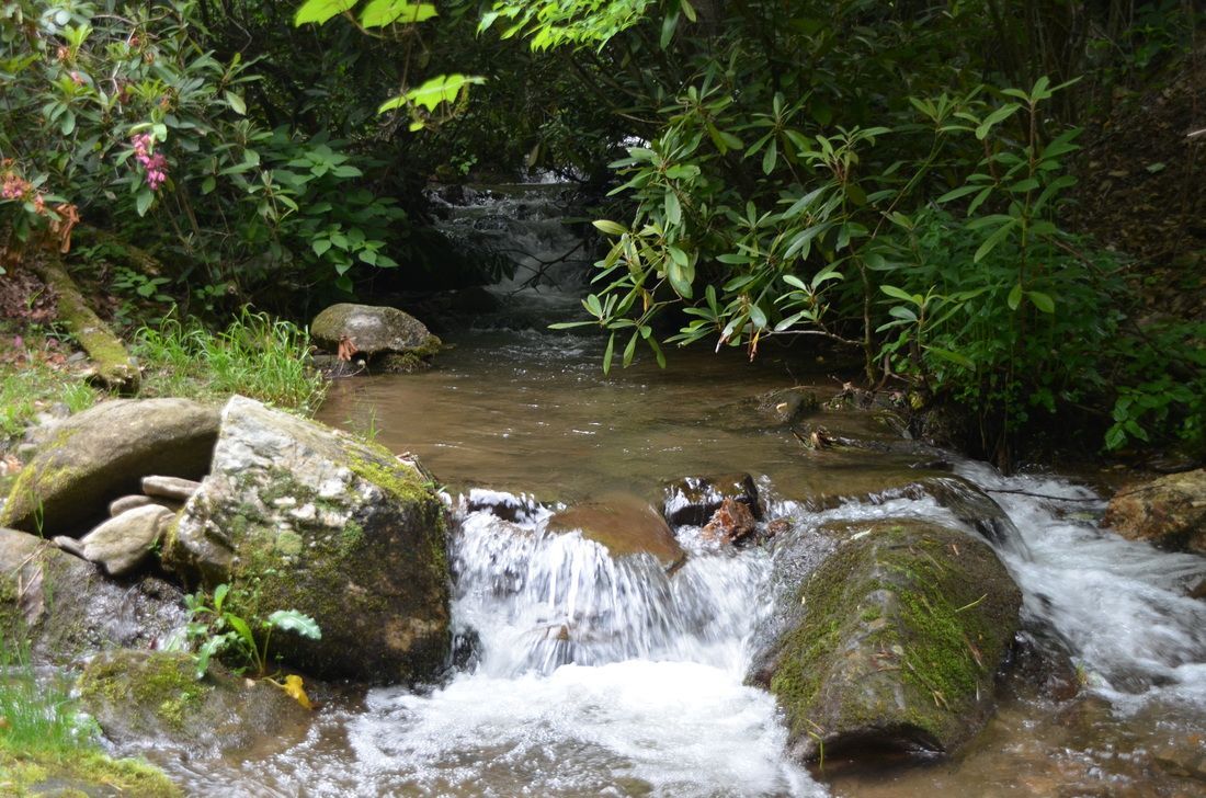 Small waterfall in a lush green forest stream with rocks and flowing water