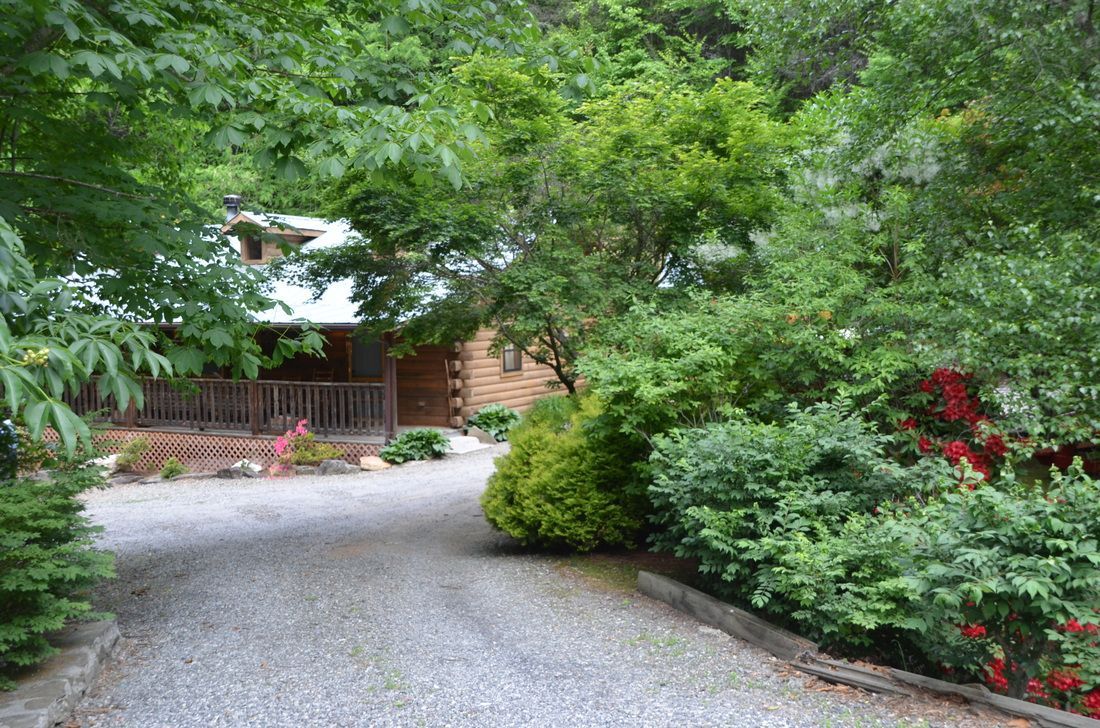 Gravel driveway leading to a wooden house, surrounded by dense green trees and shrubs.