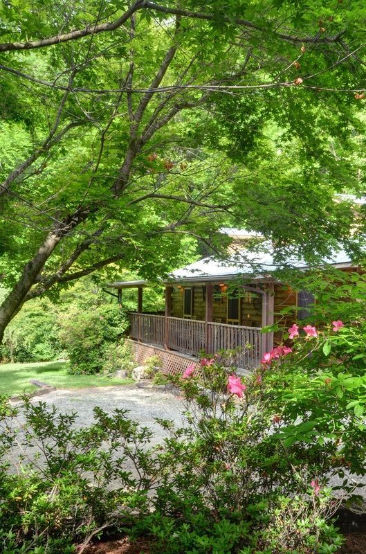 Wooden cabin surrounded by lush green trees and pink flowers beside a quiet path