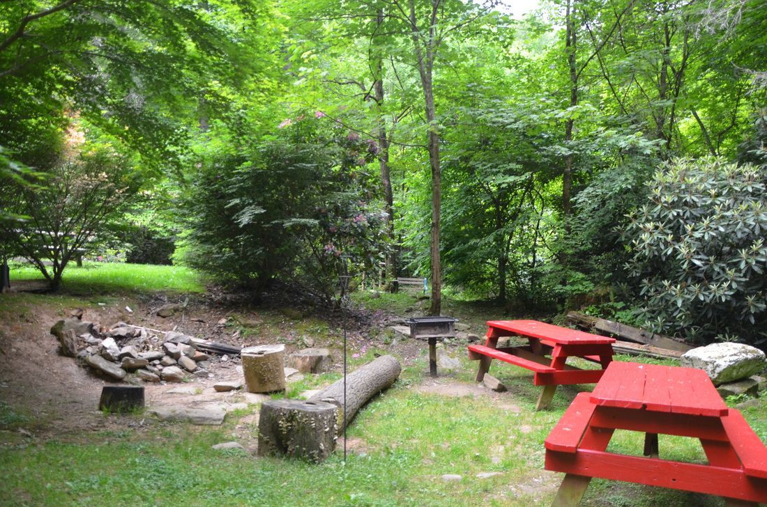 Forest picnic area with red tables and a stone fire pit surrounded by trees