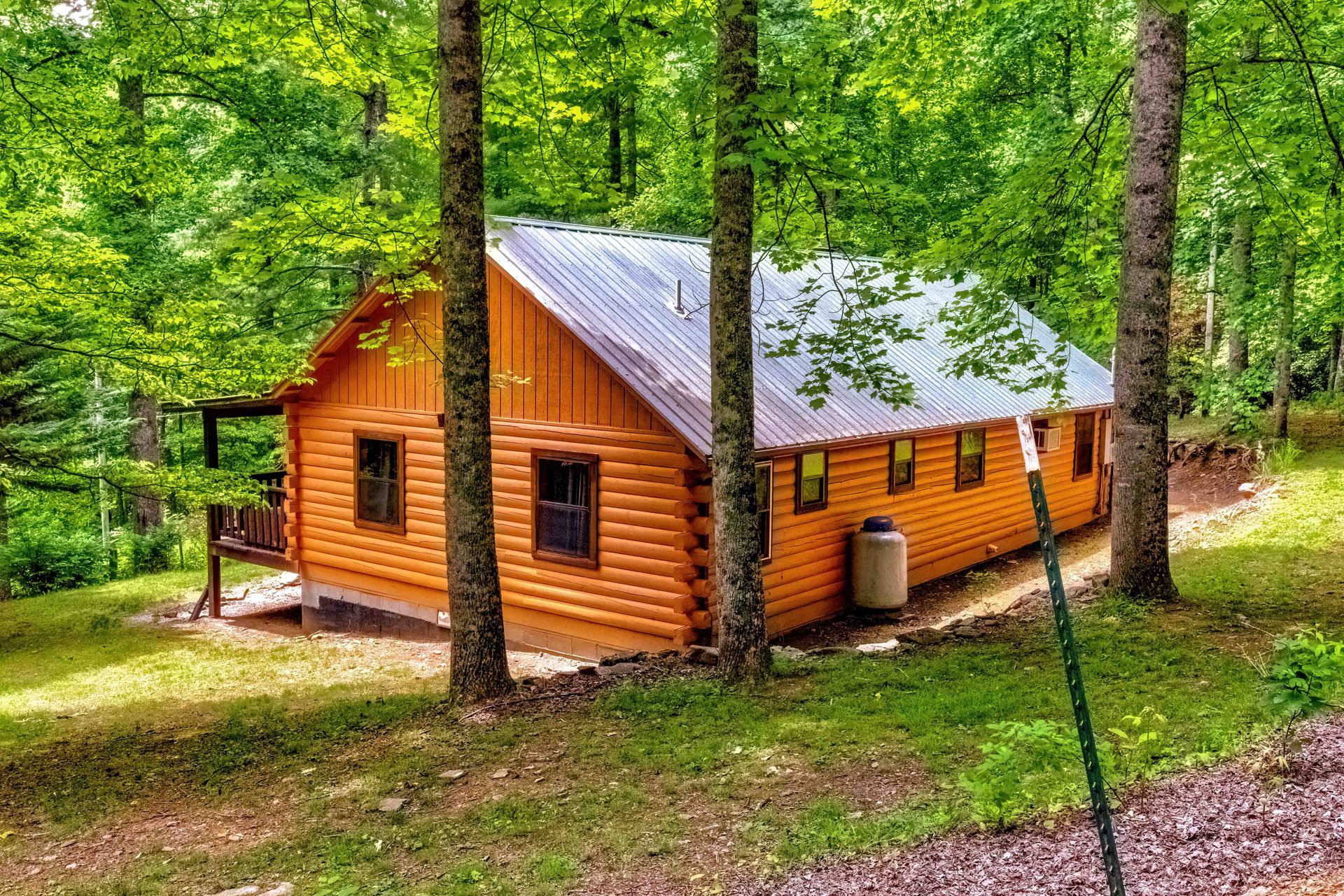 Orange log cabin in a green forest with tall trees and a metal roof