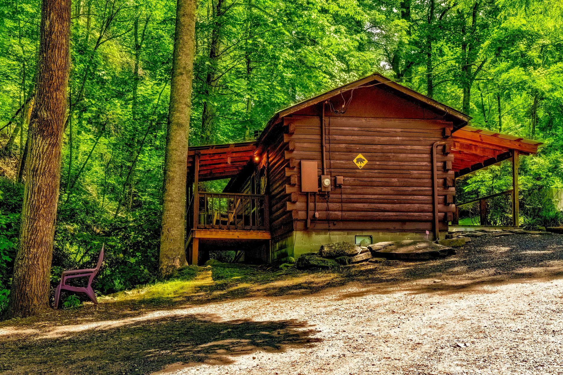 Small brown cabin in a green forest with a gravel path and covered porch