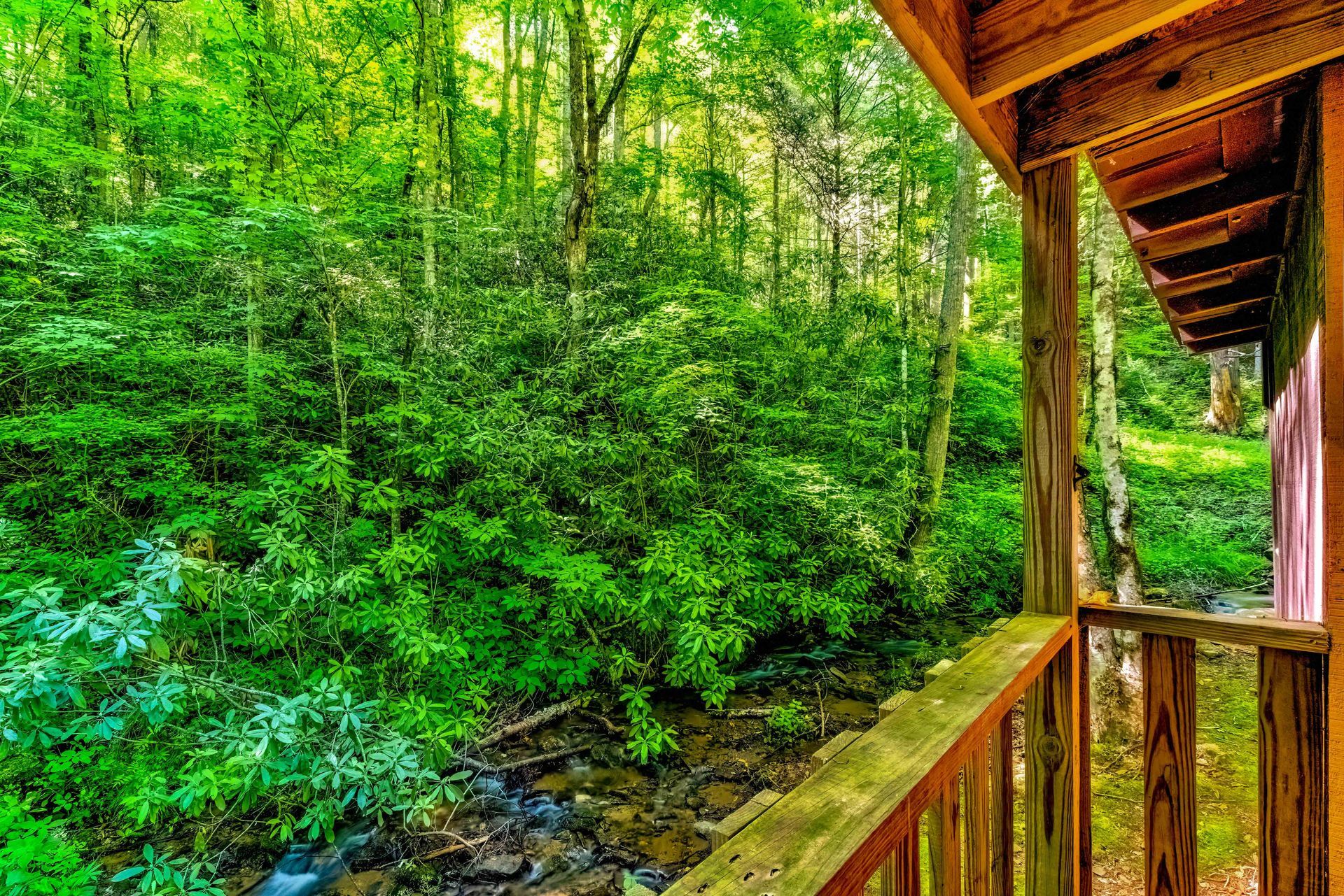 Wooden porch overlooking a lush green forest beside a rocky stream
