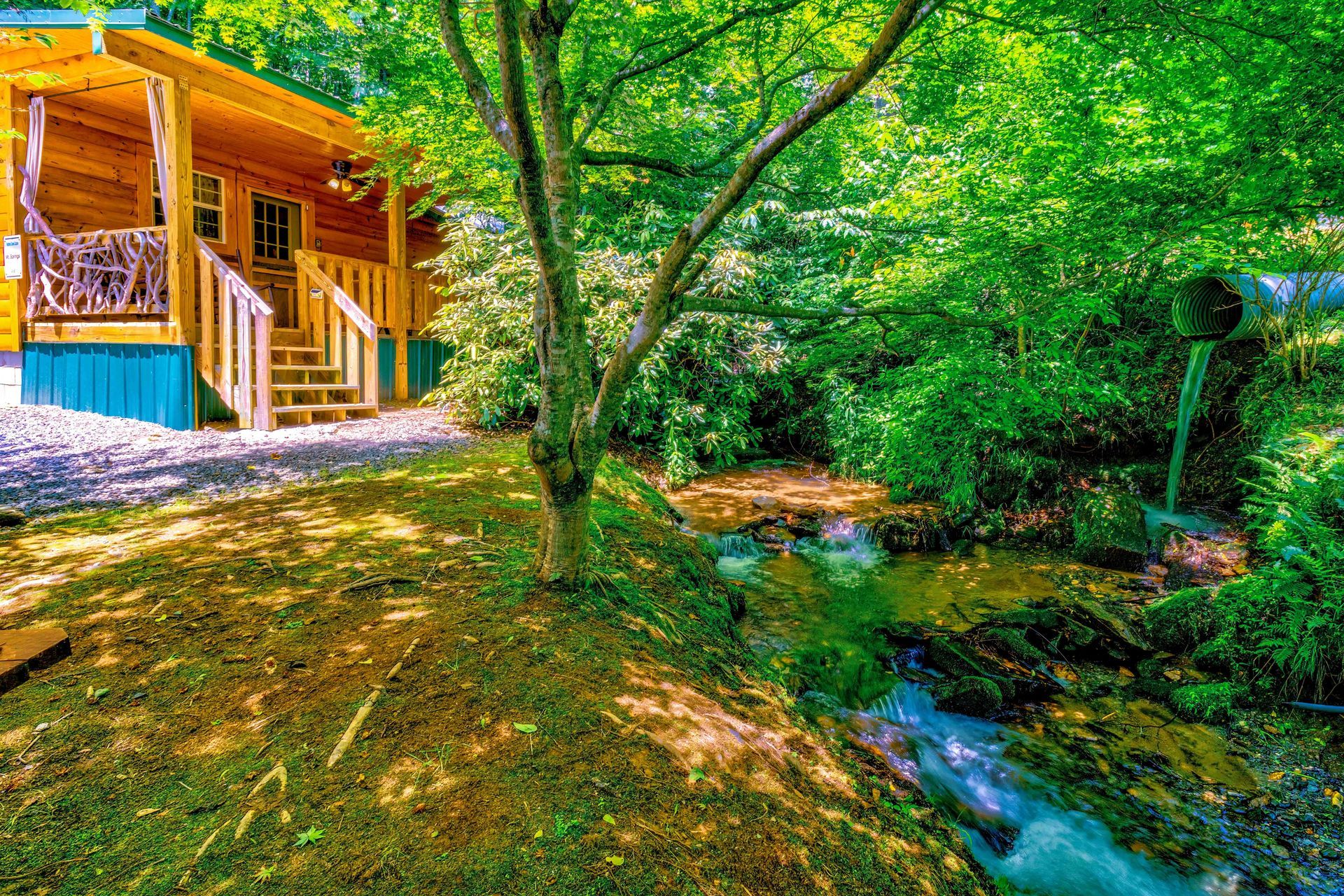 Wooden cabin beside a creek in a lush green forest, with sunlight filtering through trees.