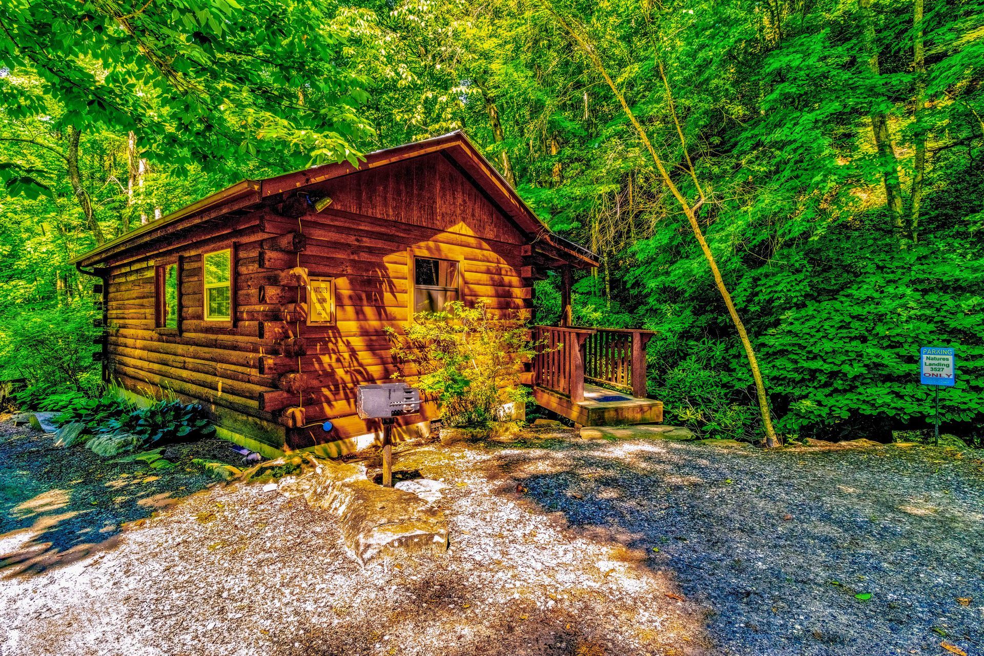Rustic log cabin in a lush green forest beside a gravel path and small grill