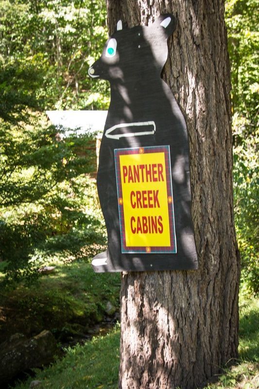 Black bear sign on a tree reading “Panther Creek Cabins” in a wooded area