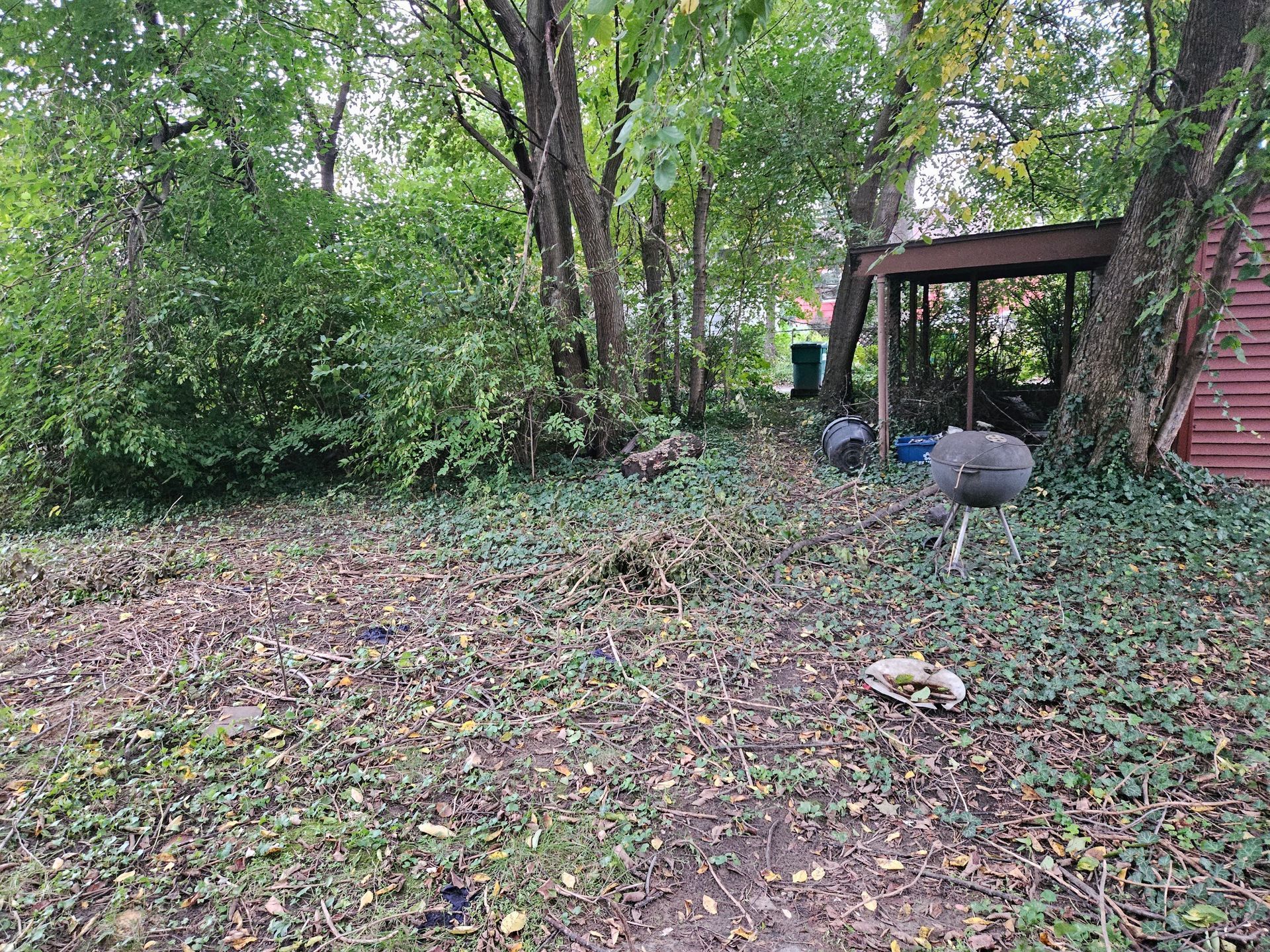 Wooded backyard with leaf-covered ground, a small shed, and a brick house edge on the right