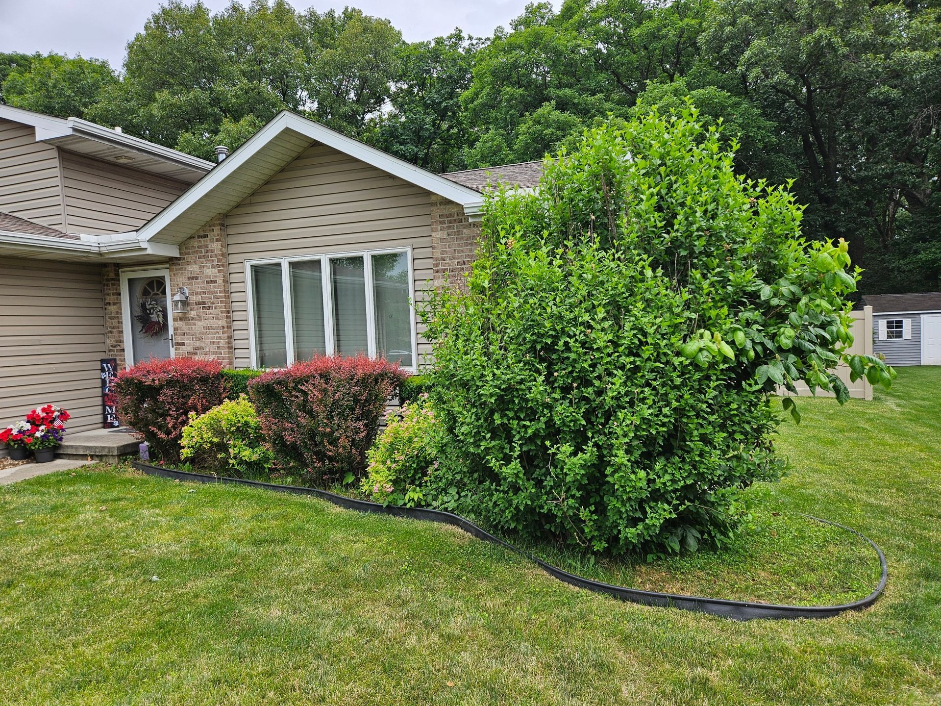Suburban house with brick facade, green lawn, shrubs, and a large tree-lined yard