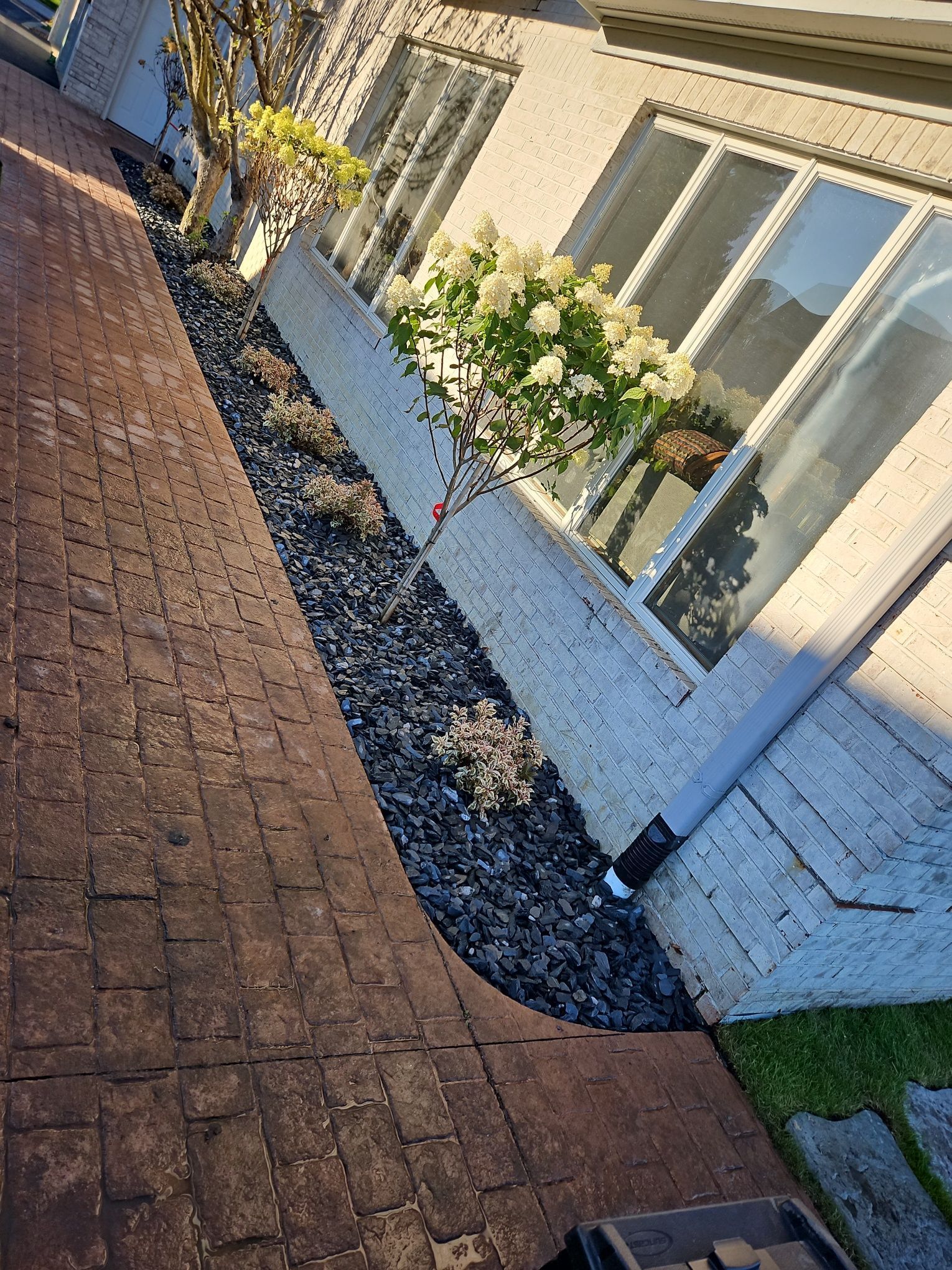 Brick walkway beside a white house with windows, bordered by dark gravel and flowering shrubs.
