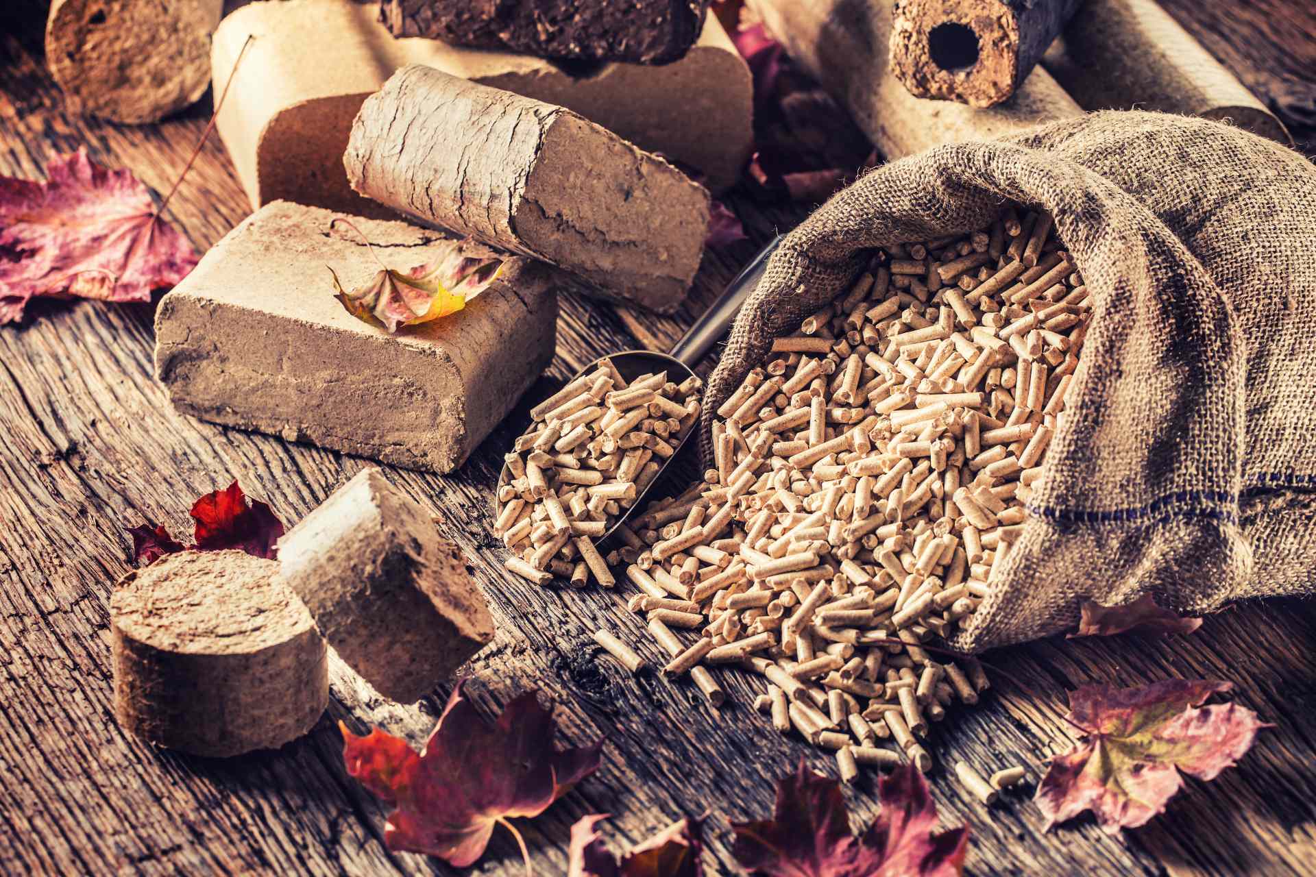 Stufe a Pellet e Legna