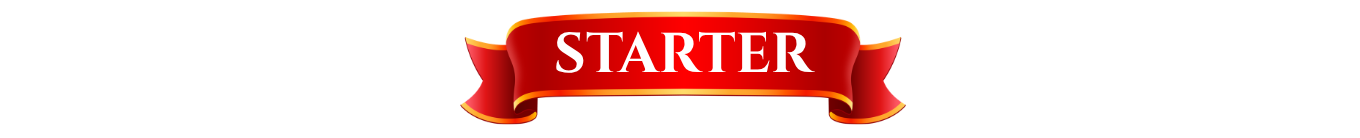 Red ribbon banner with the word “STARTER” in white text.