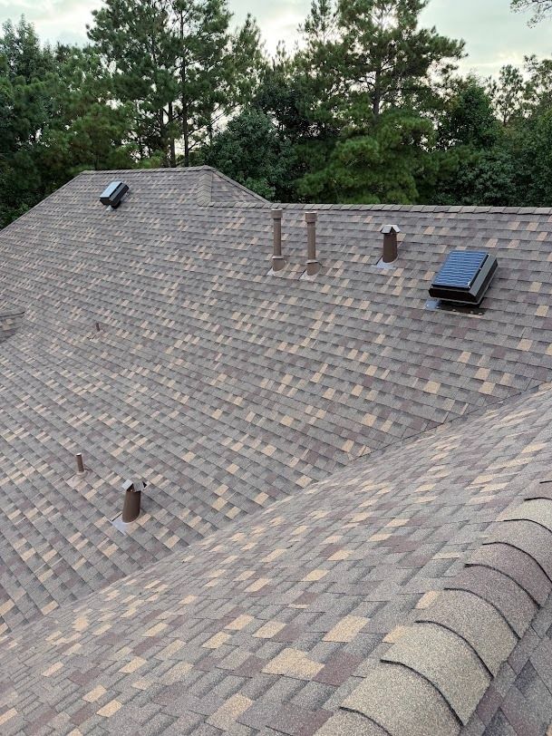Roof with gray shingles, two skylights, and three vent pipes under trees.