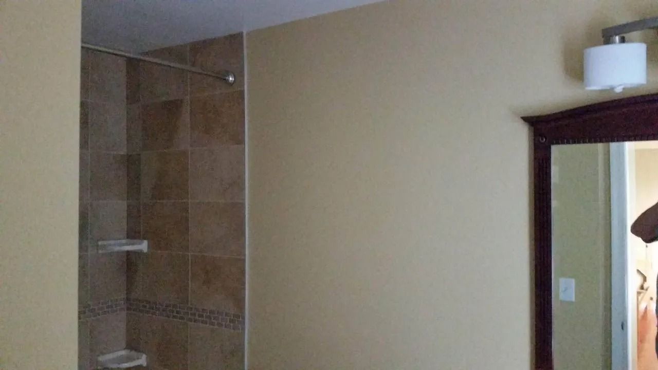 Bathroom with tiled shower, light beige walls, and a mirror with a white light fixture.
