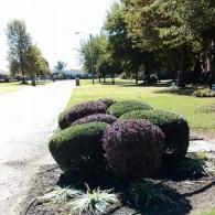 our work