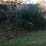 our work
