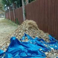 our work