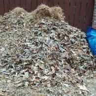 our work
