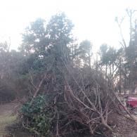 our work