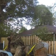 our work
