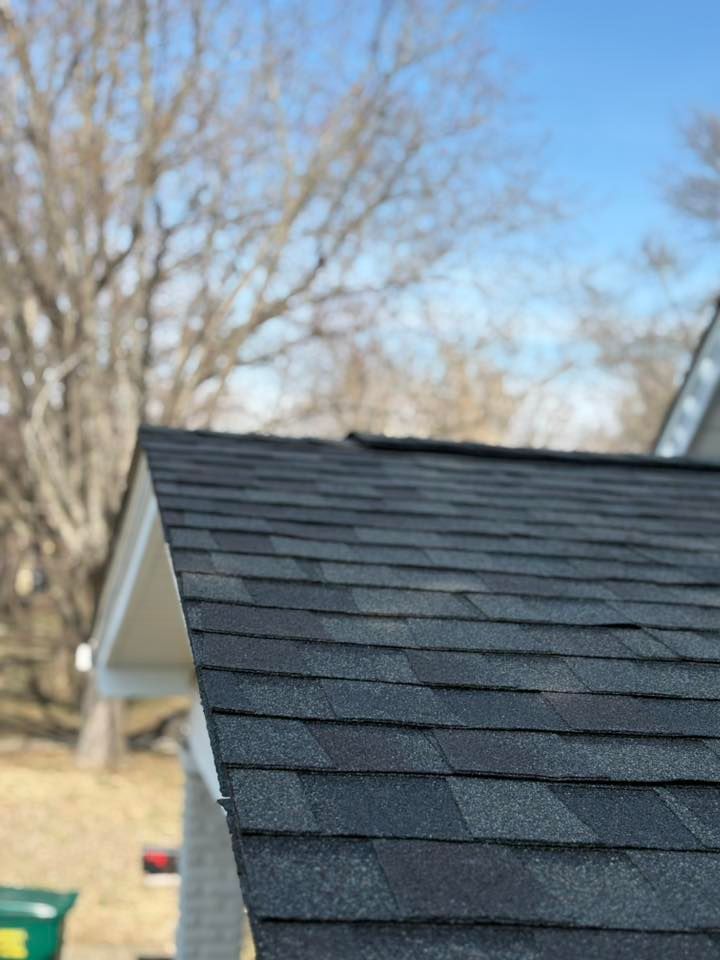 Dark gray shingled roof slope with bare trees and blue sky in the background
