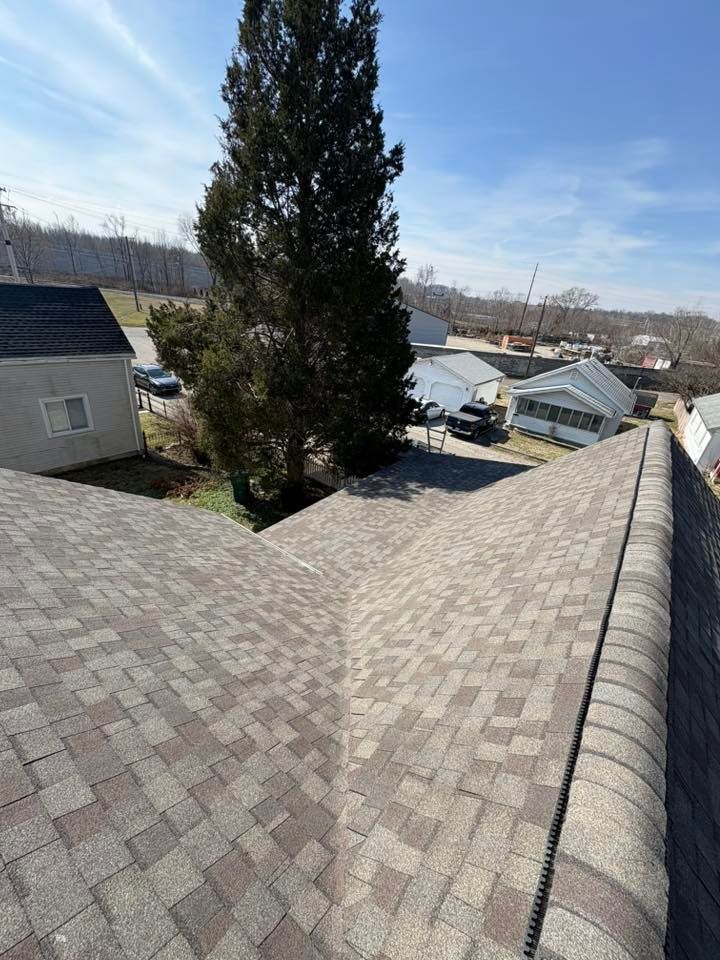 Rooftop view of shingled buildings and a tall evergreen tree under a clear sky