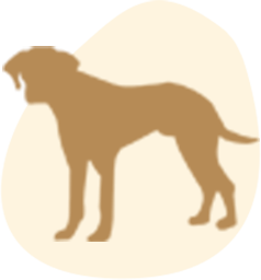 Ridgebacks Icon