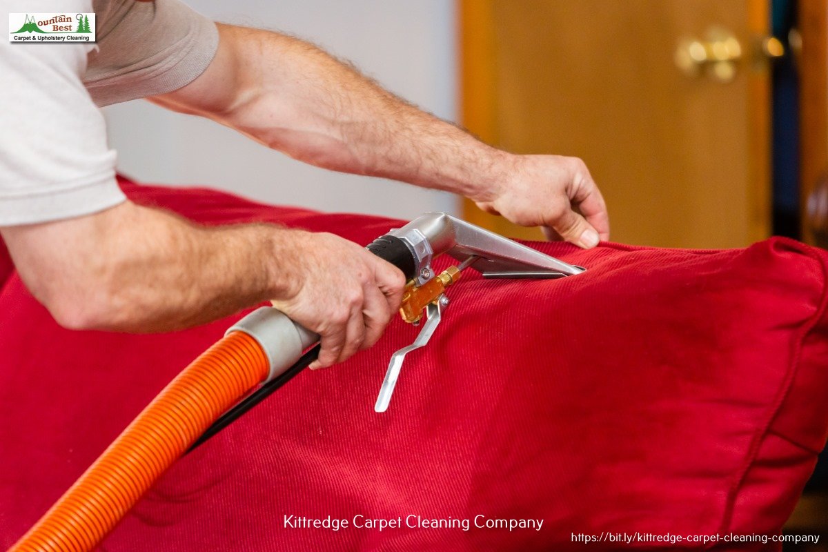 Professional Carpet Cleaning Service in Jefferson County, CO, near Denver