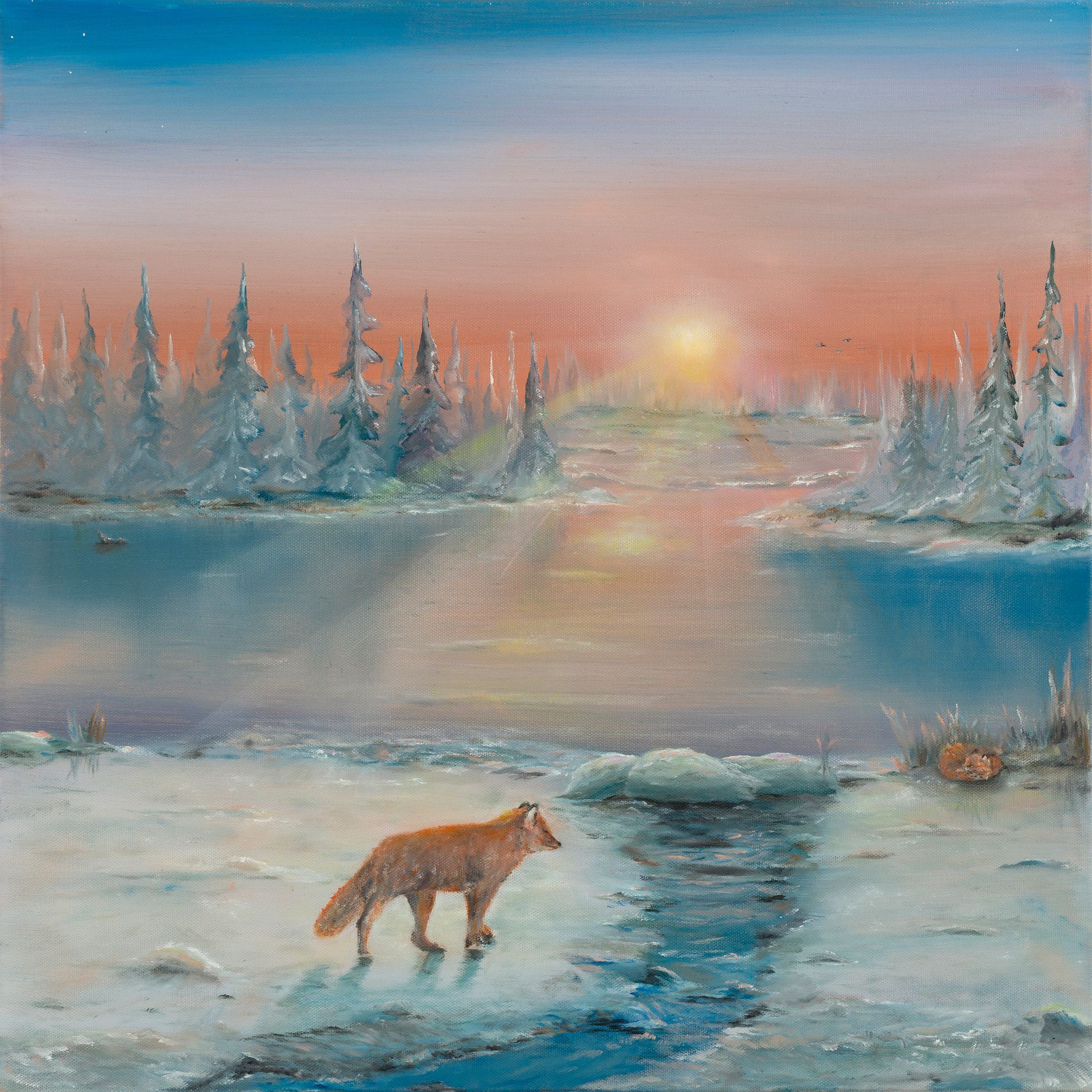 Fox walking on snowy riverbank at sunset, with frosty trees and pink sky reflected on the water.