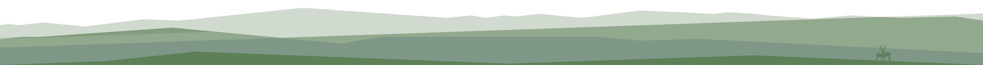 A green background with white clouds in the sky
