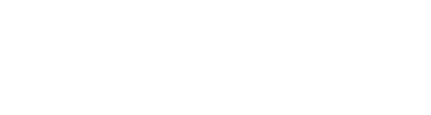 Nasco management Logo