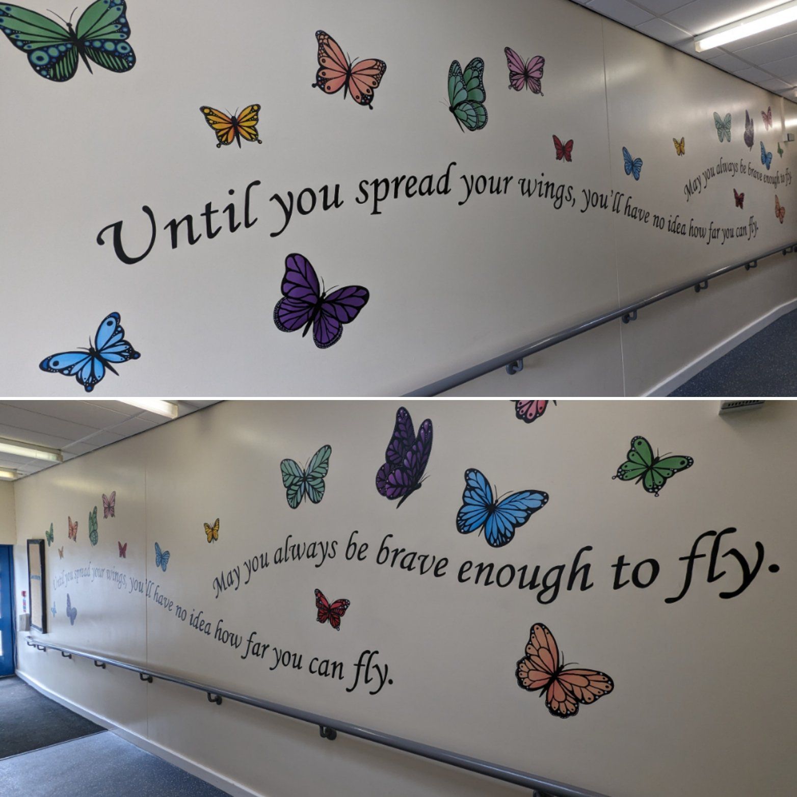 until you spread your wings quote with butterflies butterfly colour mural education primary school teaching