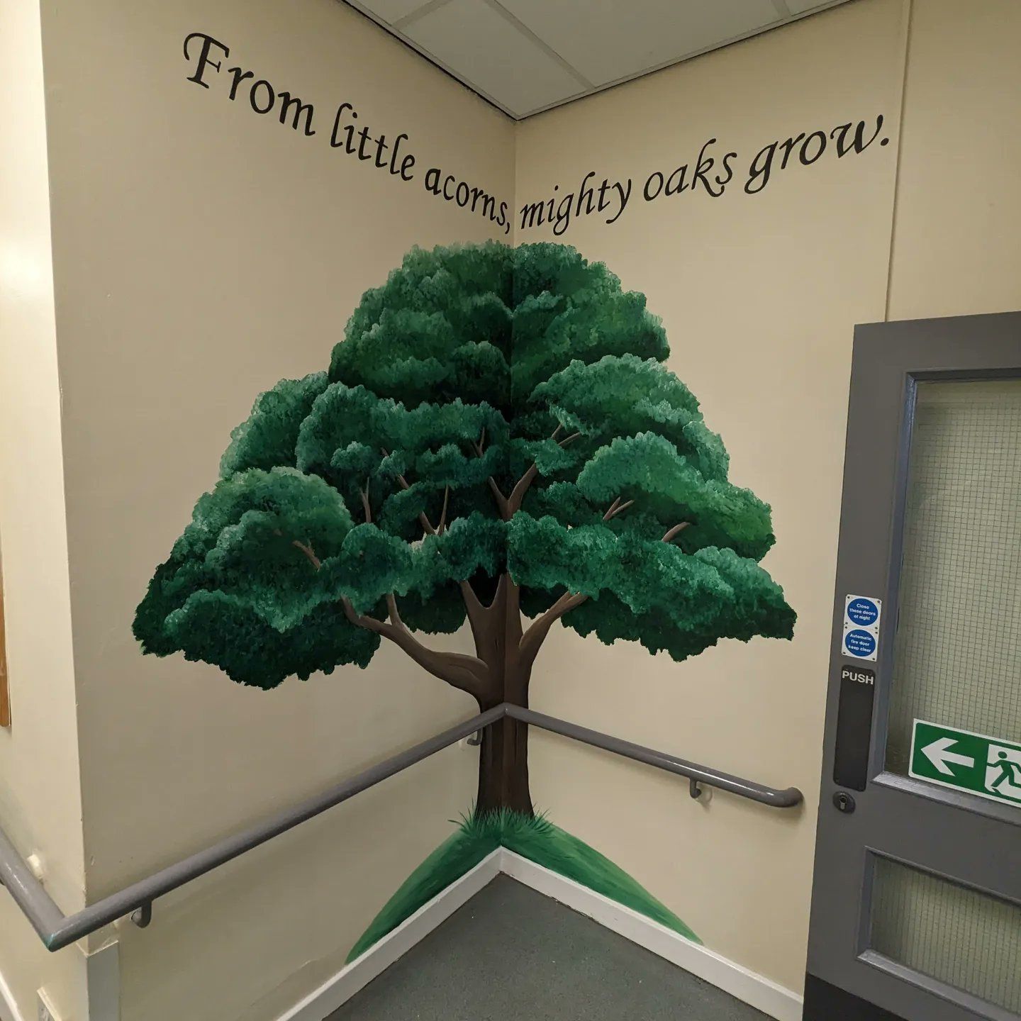 from little acorns mighty oaks grown tree in pennyman primary mural education 